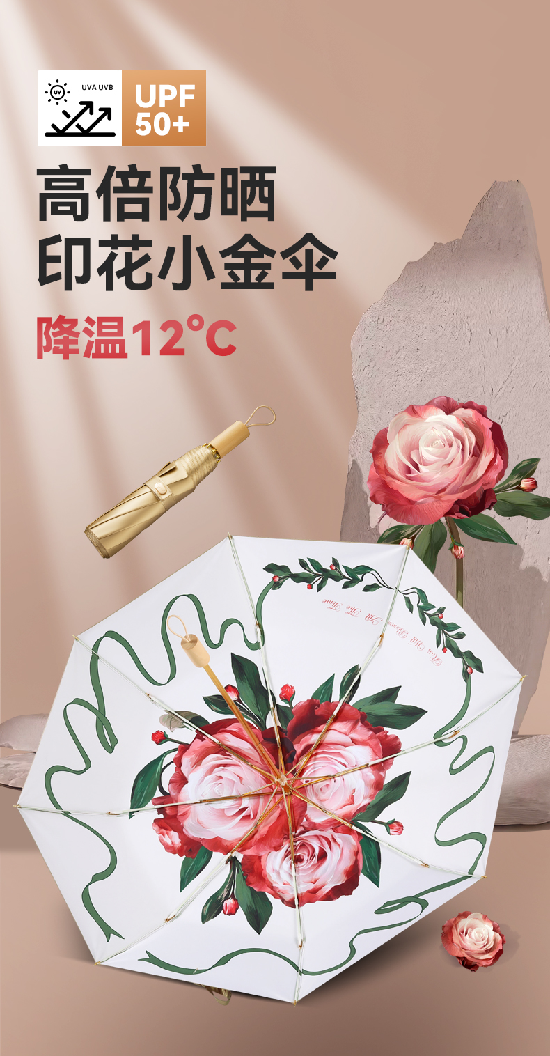 8骨小金伞详情图_01