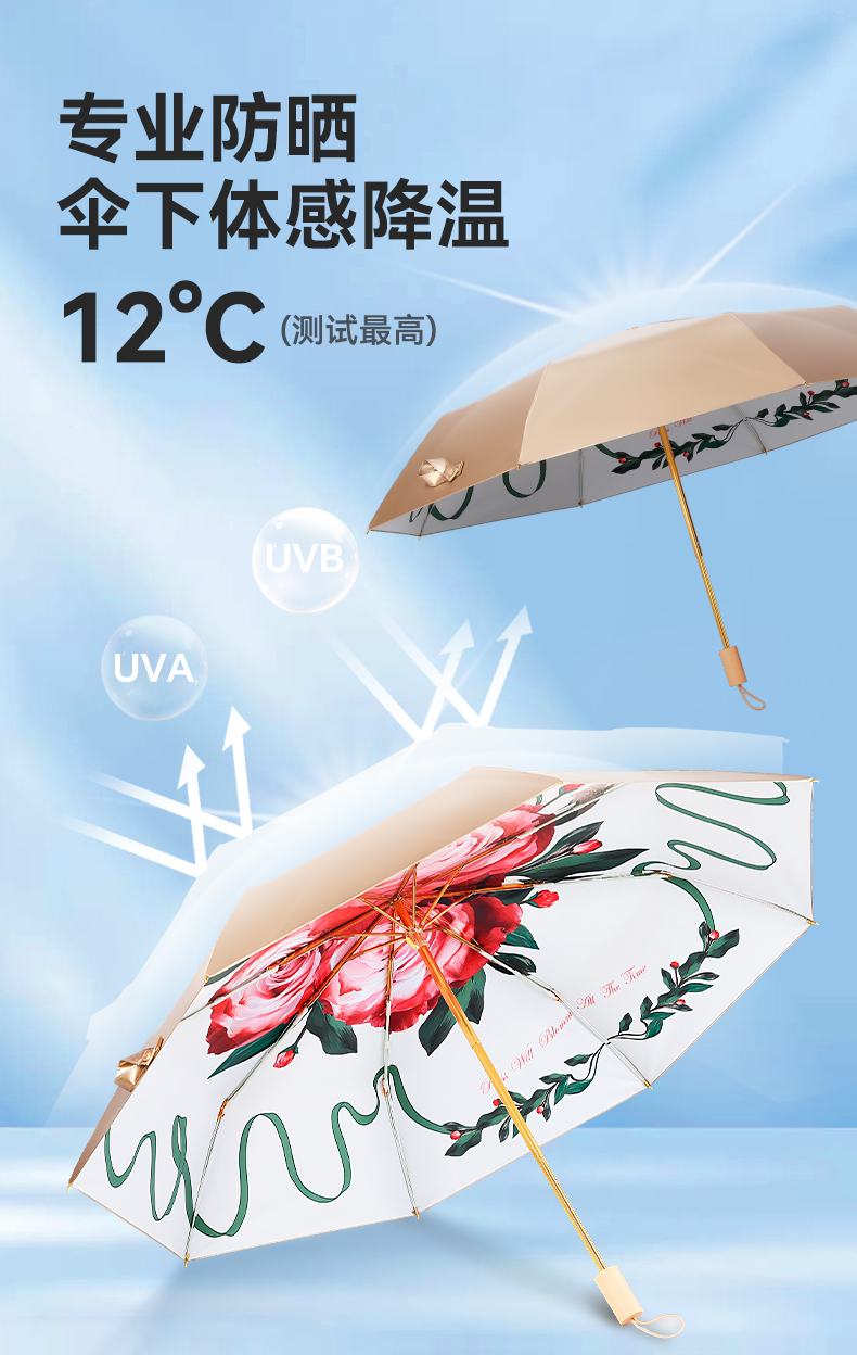 8骨小金伞详情图_04