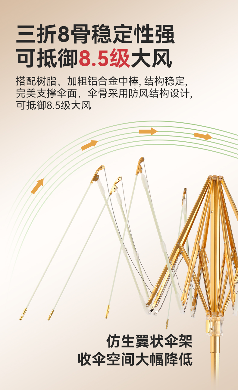 8骨小金伞详情图_06