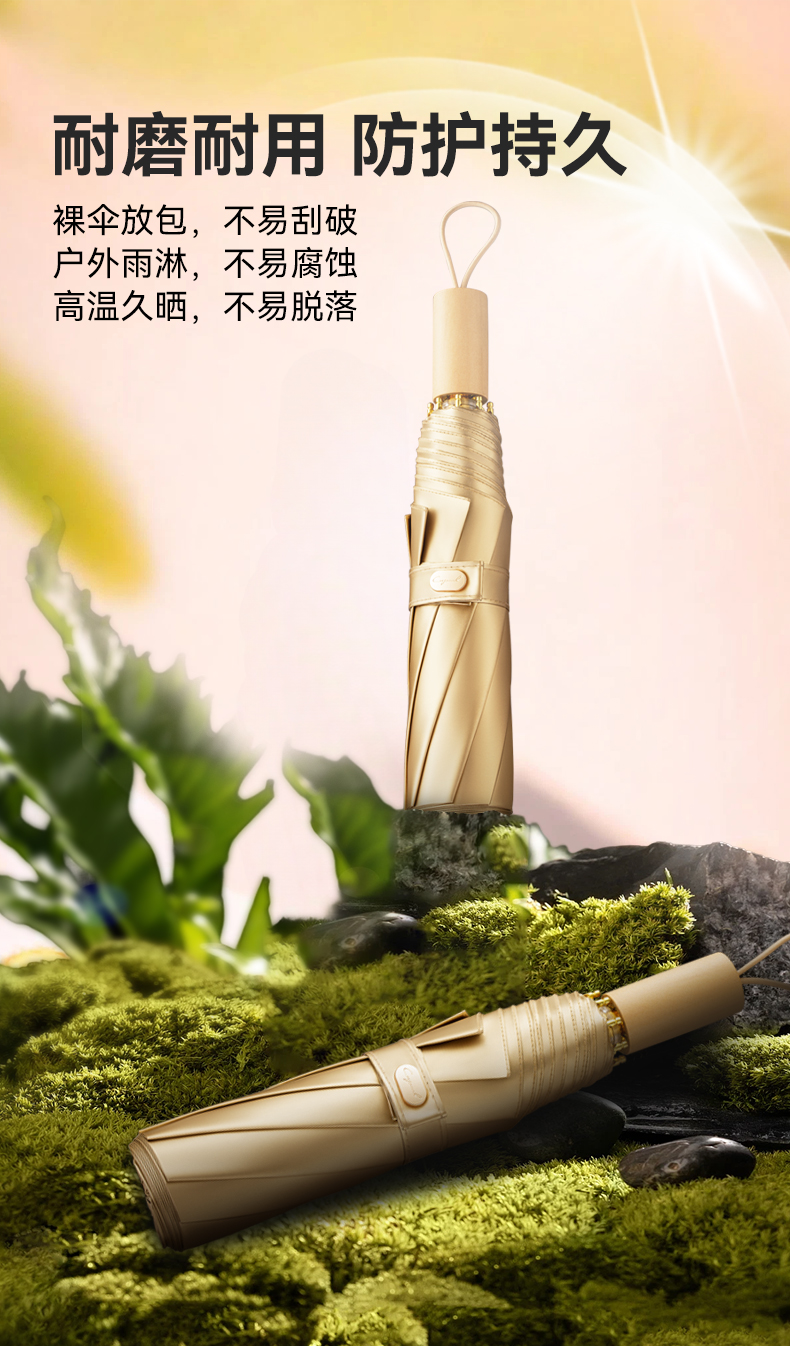 8骨小金伞详情图_09