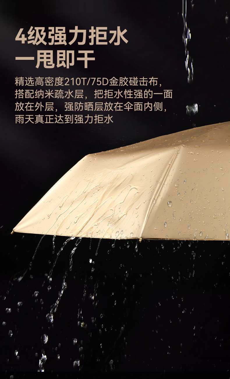 8骨小金伞详情图_11