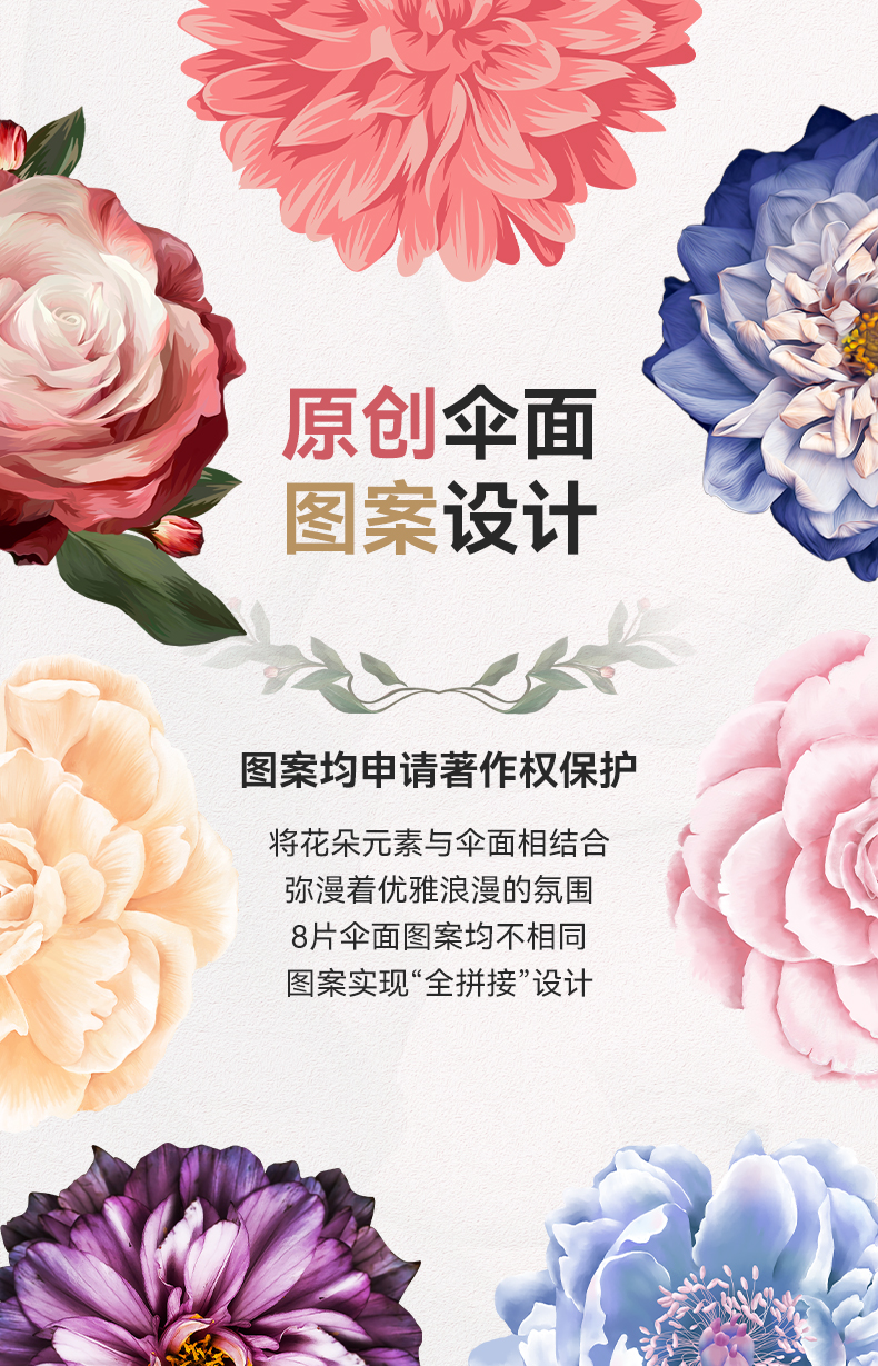 8骨小金伞详情图_14