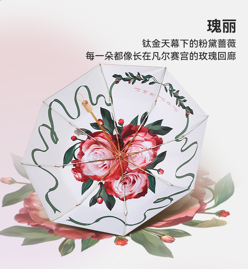 8骨小金伞详情图_15