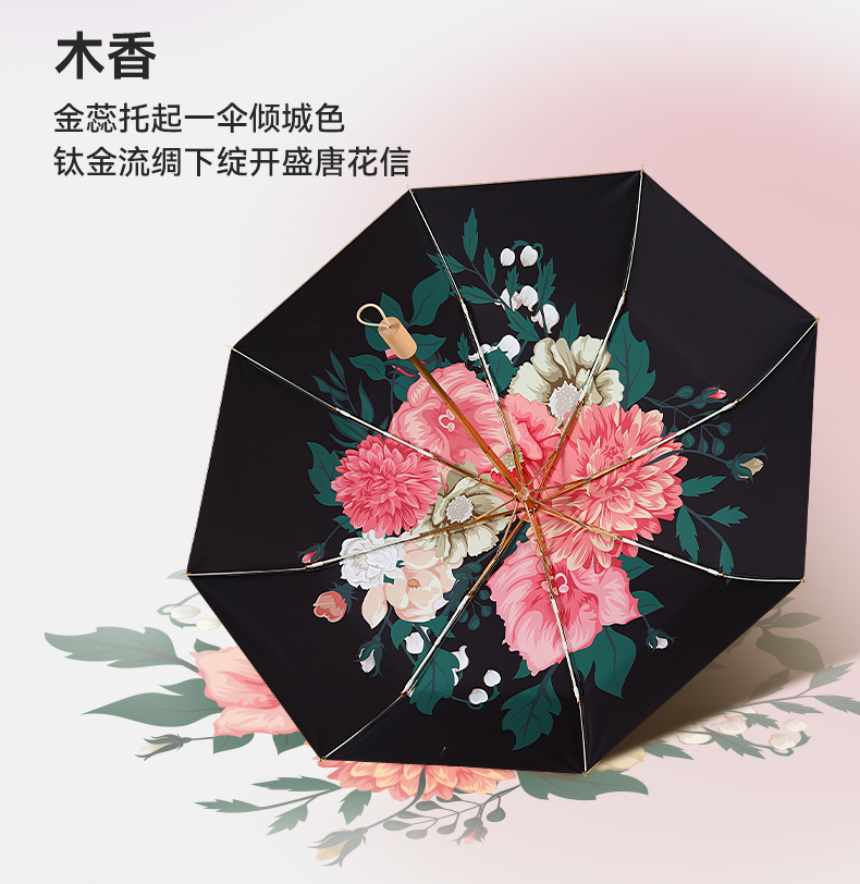 8骨小金伞详情图_16