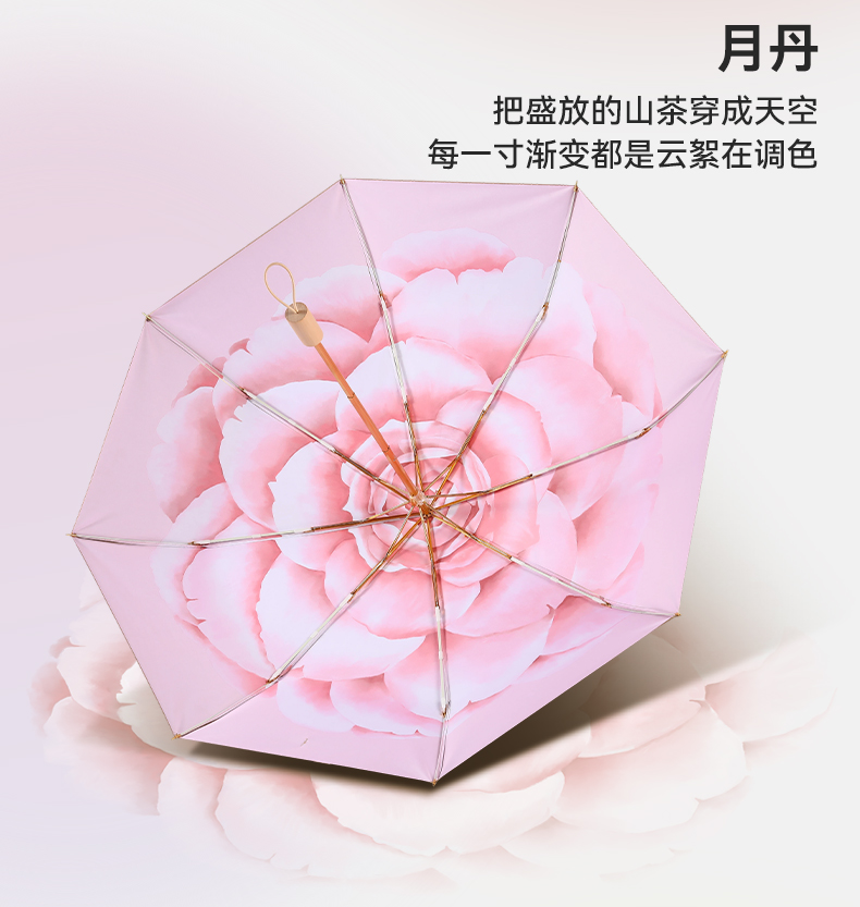 8骨小金伞详情图_17