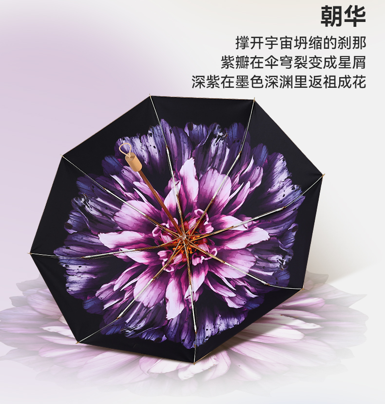 8骨小金伞详情图_19