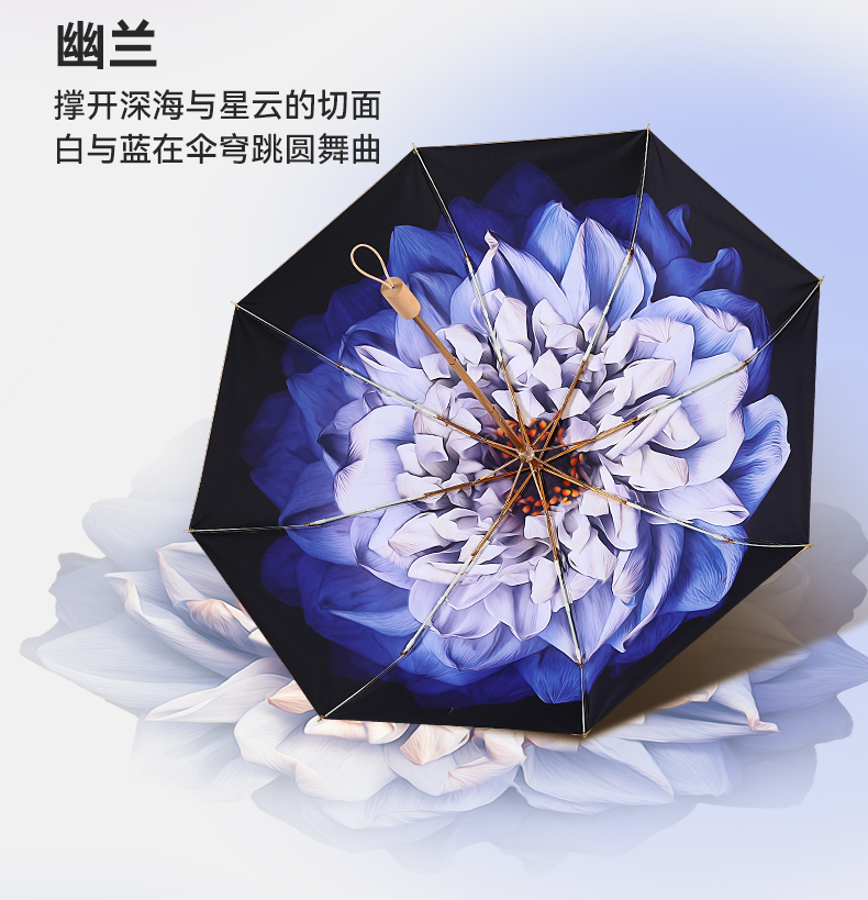 8骨小金伞详情图_20