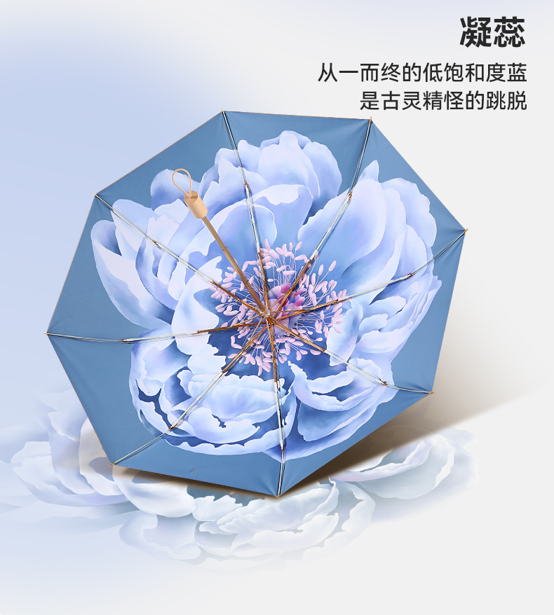 8骨小金伞详情图_21