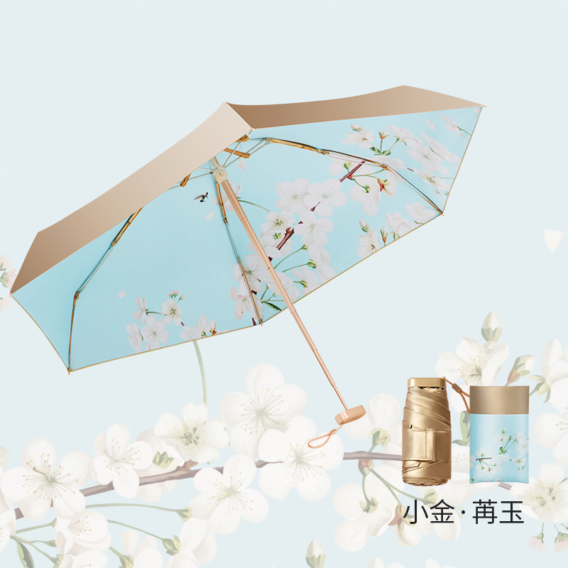 小金伞花色系列 小金伞花色系列